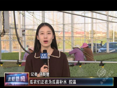 东柳村：人勤春来早 西瓜育苗忙