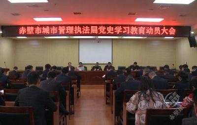 市城管执法局召开党史学习教育动员会