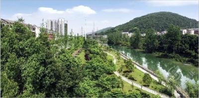 做文明赤壁人 建文明赤壁城 | 爱护树木 保护环境