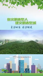 爱护树木 保护环境