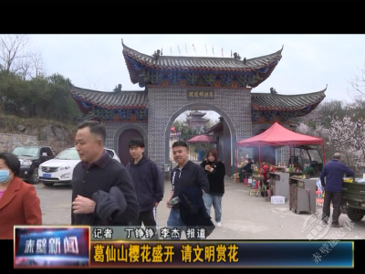葛仙山樱花盛开 请文明赏花