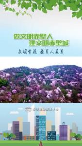 文明赏花 花美人更美