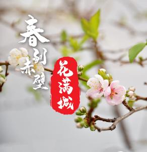 赏花踏青 | 一张图看全赤壁赏花好去处