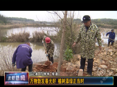 万物勃发春光好 植树添绿正当时