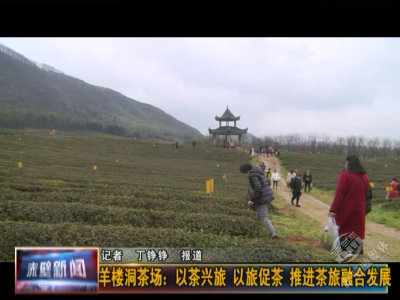 羊楼洞茶场：以茶兴旅 以旅促茶 推进茶旅融合发展