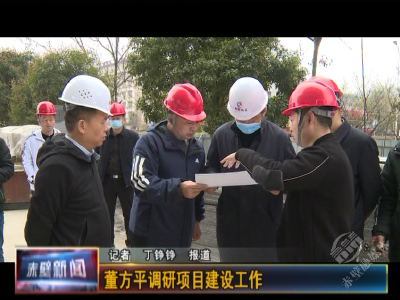 董方平调研项目建设工作