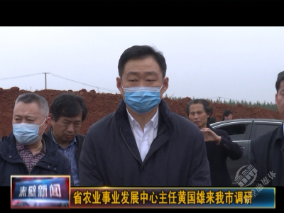 省农业事业发展中心主任黄国雄来赤调研