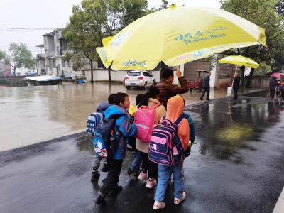 下雨了，赤壁镇小学出现“母鸡护小鸡”一幕，可爱又感动！