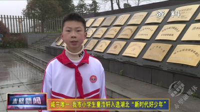 咸宁唯一！赤壁市小学生童浩轩入选湖北“新时代好少年”