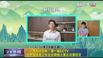 “赤壁青砖茶杯”第一届CCTV世界围棋青少年业余网络大赛总决赛收官