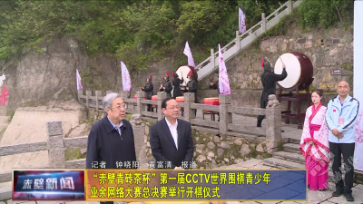 “赤壁青砖茶杯”第一届CCTV世界围棋青少年业余网络大赛总决赛举行开棋仪式