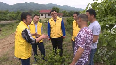 省农科院科技志愿者到赤壁市指导果农种植果树