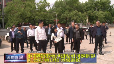 董方平调研黄龙研学特色小镇及蒲圻古街保护建设项目时强调：统一思想认识 明确主体责任 加快推进项目建设