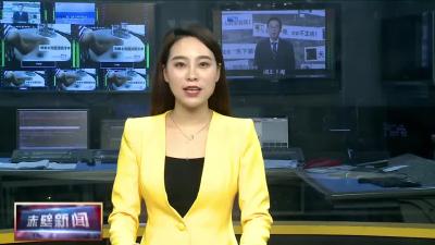 青春心向党·奋斗新征程 赤壁市举行“学党史 强信念 跟党走”五四特别主题团日活动