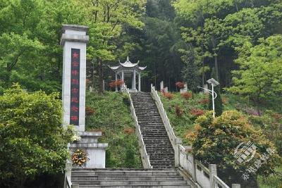 乡村振兴看赤壁 | 革命老区致富路越走越宽