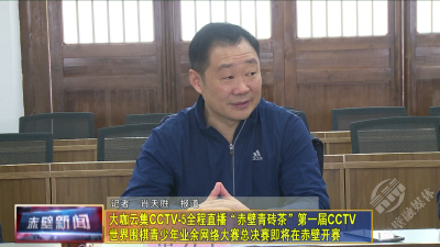 董方平调研“赤壁青砖茶杯”第一届CCTV世界围棋青少年业余网络大赛总决赛筹备工作