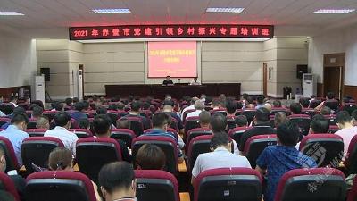 赤壁市举办2021年党建引领乡村振兴专题培训班
