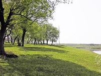 组图丨赤壁镇九毫堤村：有草地、有树林、也有河流…