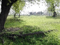 组图丨赤壁镇九毫堤村：有草地、有树林、也有河流…