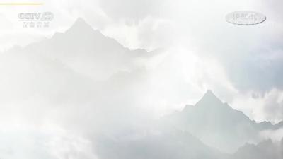 《我爱发明》授粉能手
