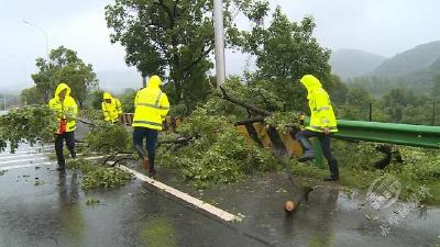 市交通运输局应对暴雨大风 确保道路安全