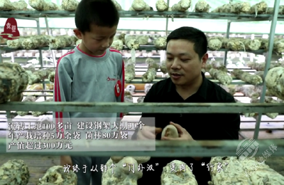 咱们村的年轻人｜“蘑菇大王”李平华：一颗小小的蘑菇，却能大放异彩