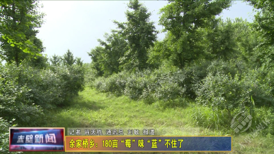 8余家桥乡蓝莓VA0.mp4