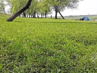 组图丨赤壁镇九毫堤村：有草地、有树林、也有河流…