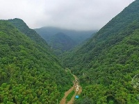 组图丨绿满山野的官塘驿林场