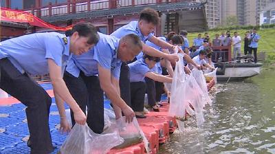 投放鱼苗3500万尾 改善水域生态环境