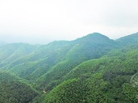 组图丨绿满山野的官塘驿林场