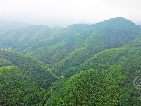 组图丨绿满山野的官塘驿林场