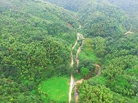 组图丨绿满山野的官塘驿林场