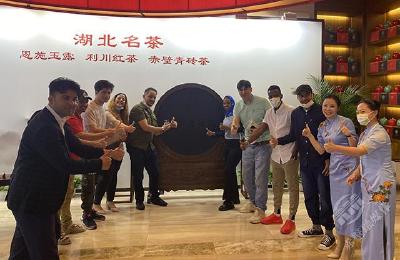 上合组织民间友好论坛茶叙 国际友人盛赞赤壁青砖茶
