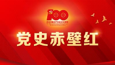 赤壁市庆祝建党100周年《党史赤壁红》系列微纪录片