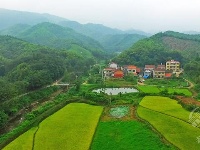 组图丨绿满山野的官塘驿林场