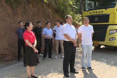 市领导调研官塘驿镇工业经济多点支撑工作 