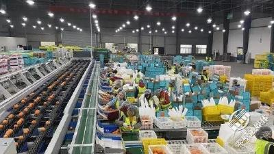 赤壁积极鼓励企业挂牌上市逐鹿资本市场