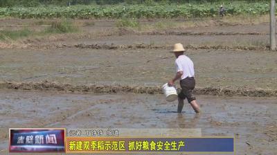 新建双季稻示范片 抓好粮食安全生产
