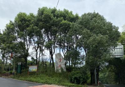 一路清凉，处处美景，赤壁这条路颜值好高！