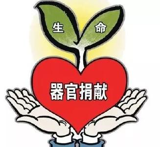 延续生命 大爱永恒——遗体（角膜）和人体器官捐献志愿登记倡议书