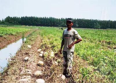 赤壁：织密农户受灾致贫“防护网”