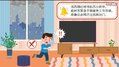 台风暴雨来临前后如何应对？这份防御指南教你安全避险