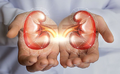 得了肾结石要停止补钙？多喝可乐能治疗？教你科学防治