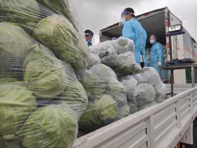 实实在在！村民连夜摘2万斤蔬菜捐抗疫师生