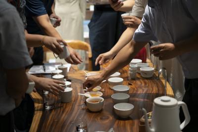 品评优质赤壁青砖茶 推进茶产业体系标准化