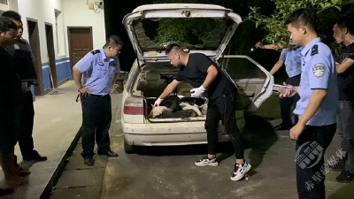 毒射土狗多地疯狂作案 警方快速出击人赃俱获  
