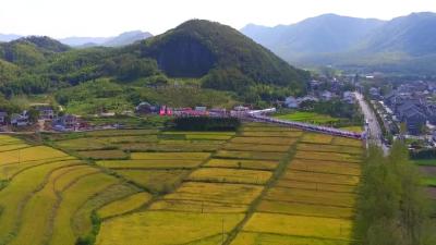 “中国农民丰收节”咸宁主会场在赤壁举行