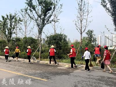 夷陵：志愿之城 托起文明典范新高度