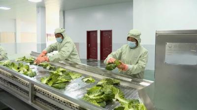 保康：出口韩国！龙坪镇拓展渠道赚外汇……